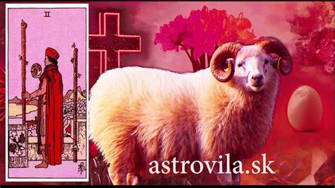 Pes v znamení Barana s energickou povahou