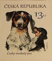 Rodina se psem českým strakatým psem