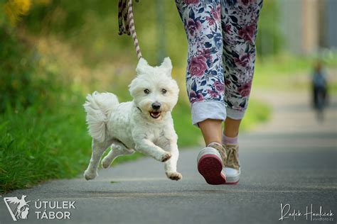 Westík relaxujúci v kresle