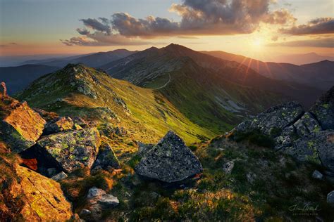 pes v horách Nízke Tatry