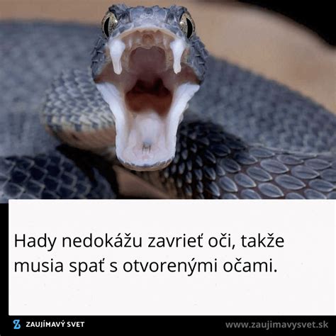 Pes s otvorenými očami, ktorý vzdychá