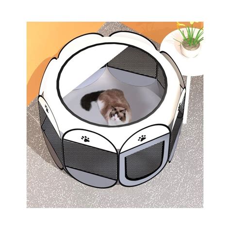 Ilustrácia bezpečného priestoru pre mačku v domácnosti