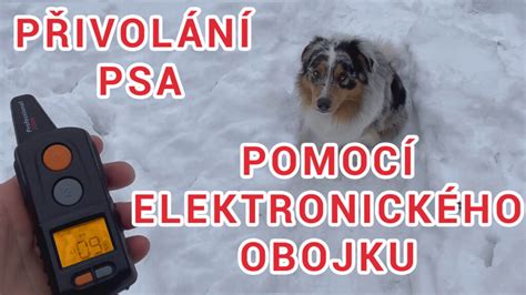 Ilustrácia správneho nasadenia elektronického obojku