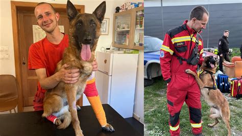 Nálezka záchranárskeho psa