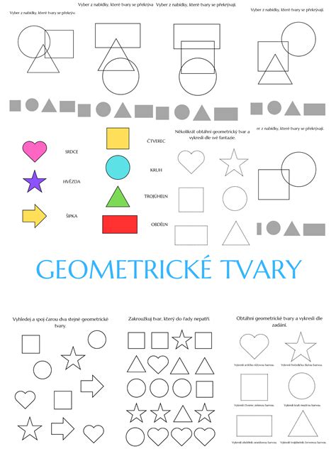 Štruktúra psa a základné tvary