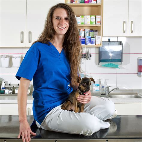 Veterinárna starostlivosť o psa