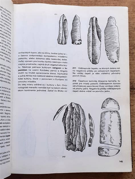 Ilustrácia pravekého hrobu s pochovaným psom