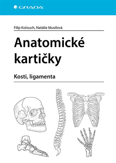 Anatomické znaky anglického farbiara
