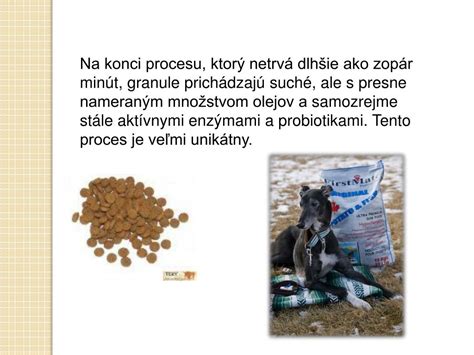 Proces výroby granúl pre psov