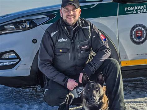 Pes pri fénovaní po kúpeli