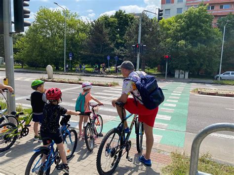 Pes v prepravnom boxe na bicykli