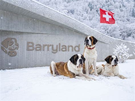 Barryland v Martigny