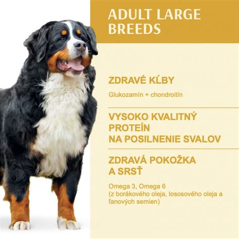 Kŕmenie veľkých plemien psov