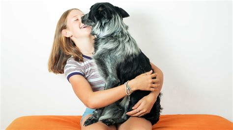 Majiteľ objíma psa