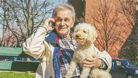 Ilustračná fotografia osoby venčiacej psa v parku