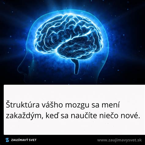 Štruktúra psieho mozgu