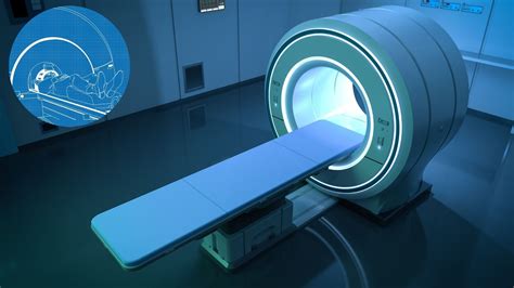 Veterinárna magnetická rezonancia