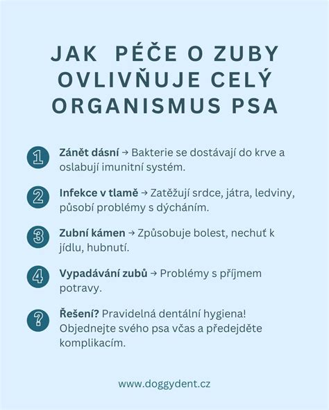 Reprodukčný systém psa