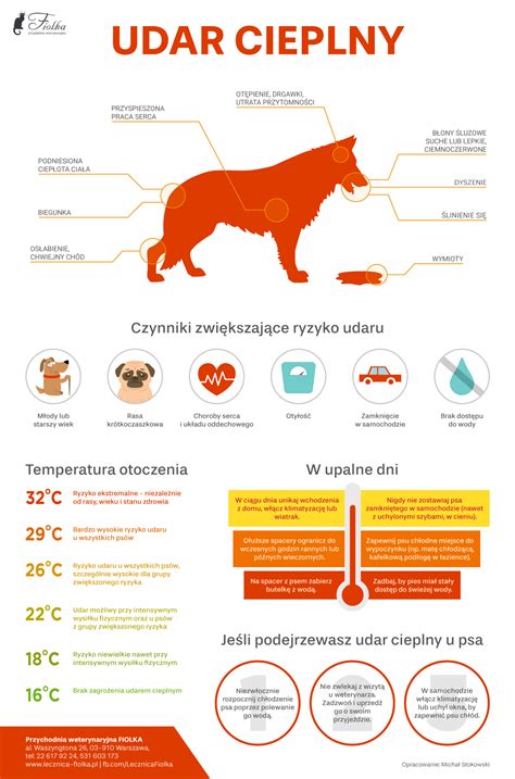 Infografika o telesnej teplote psa