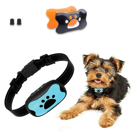 Ilustračná fotografia rôznych typov obojkov proti štekaniu