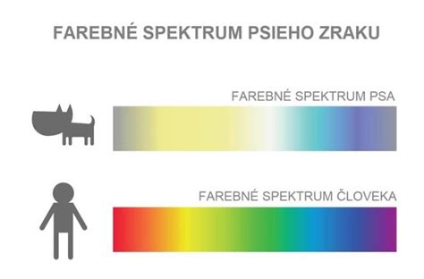 Porovnanie farebného videnia človeka a psa