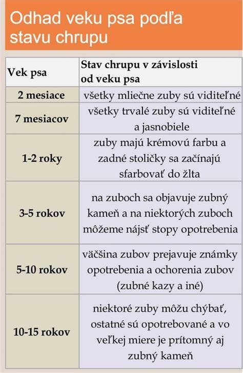 Mozgová aktivita psa počas spánku