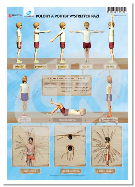 Rôzne polohy a pohyby psieho chvosta