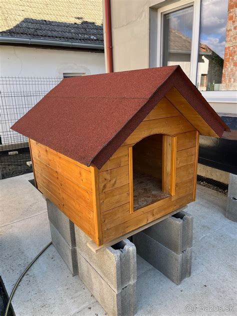 Ilustračná fotografia stredne veľkého psa