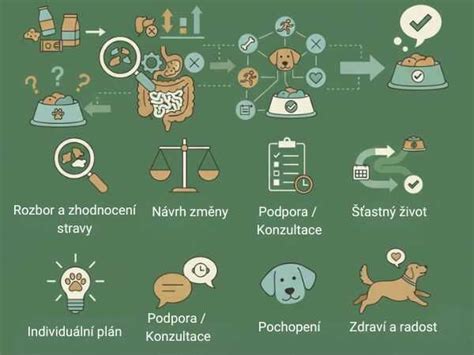 Ilustrácia procesu čipovania psa