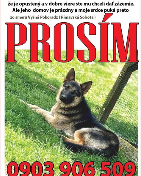 Rodina s slovenským čuvačom, ilustrácia priateľskej povahy psa k deťom