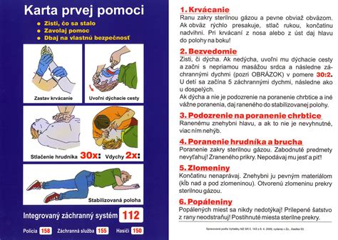 Prvá pomoc pri poranení labky psa