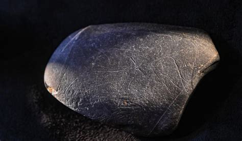 Stará rytina alebo fotografia jazvečíka