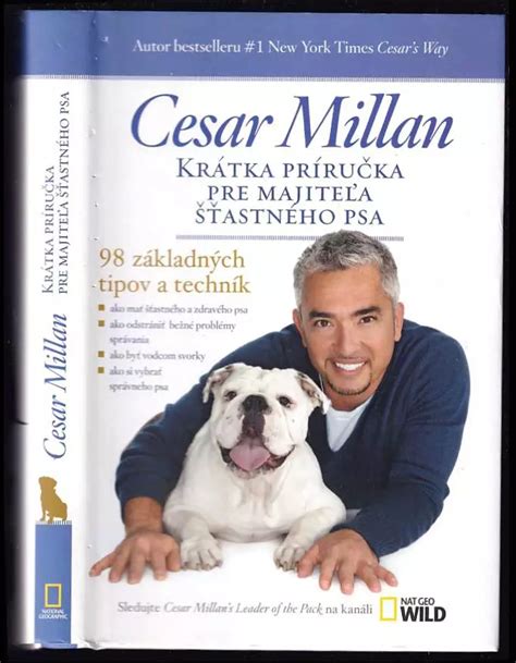 Ilustrácia zodpovedného majiteľa psa