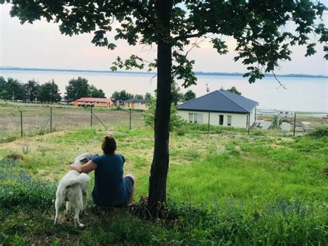 Ilustrácia rodiny so psom a bábätkom