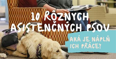 Ilustrácia rôznych typov asistenčných psov
