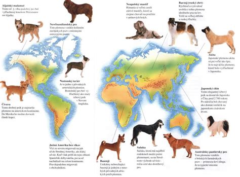 Mapa rôznych plemien psov