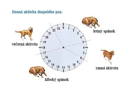 Pes vykonávajúci potrebu na vyhradenom mieste