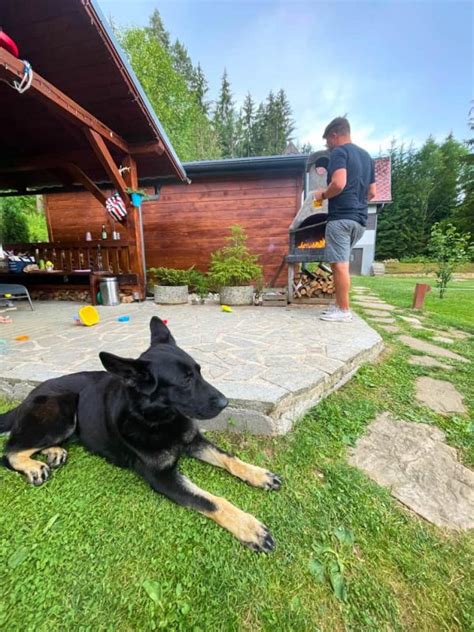 Ilustrácia rodiny hrajúcej sa so psom v byte