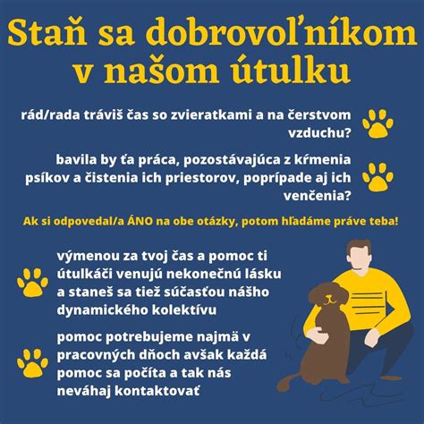 Ilustrácia dobrovoľníkov pracujúcich v útulku