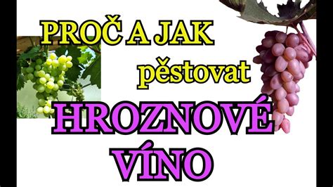Obrázok hrozna a roziniek s prečiarknutím