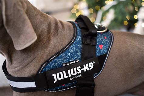 Logo značky Julius-K9