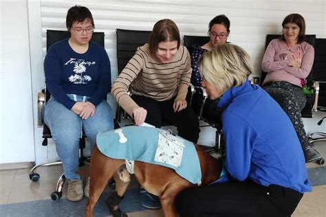 Ilustrácia Jeana Labadieho s jeho vymysleným psom
