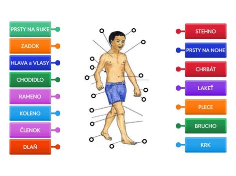 Ilustrácia dieťaťa hrajúceho sa s hovoriacim psíkom a učiaceho sa časti tela
