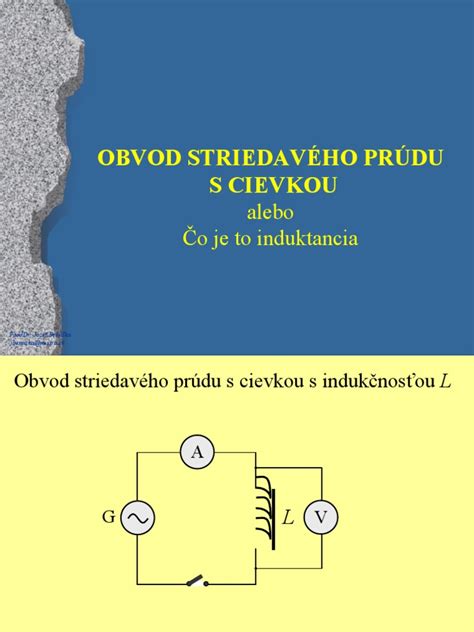 Štruktúra psieho pazúrika s vyznačenou cievkou