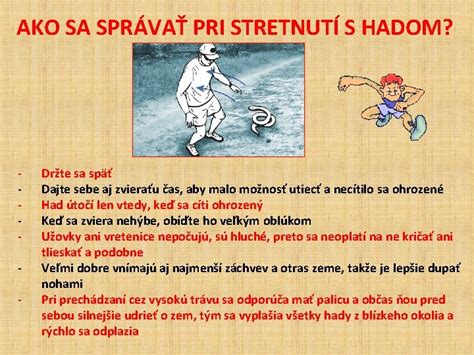 Ilustrácia správneho postoja pri stretnutí s agresívnym psom