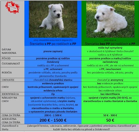 Šteniatko kúpané v jemnej pene