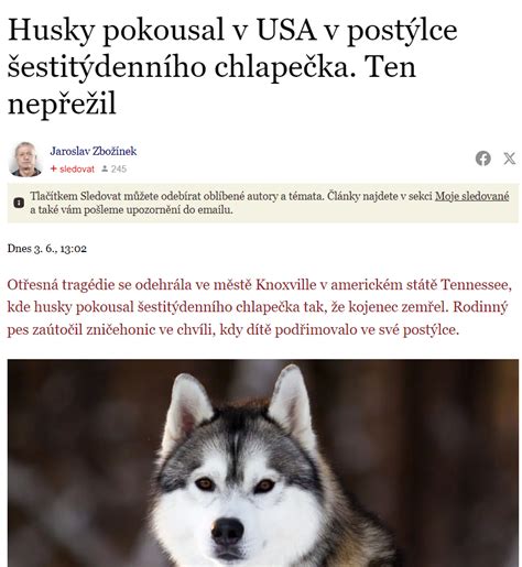 Pes s postojom obrannej agresivity