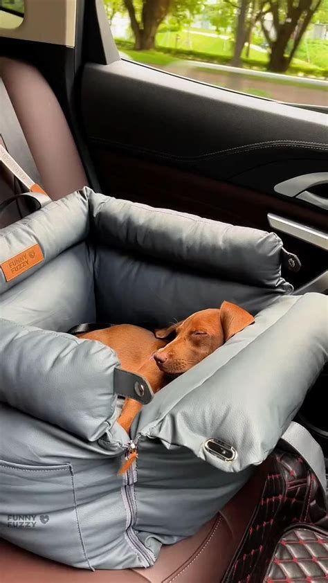 Ilustračná fotografia luxusného pelechu pre psa z umelej kože