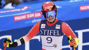 Ilustrácia Hovawarta s majiteľom počas tréningu poslušnosti