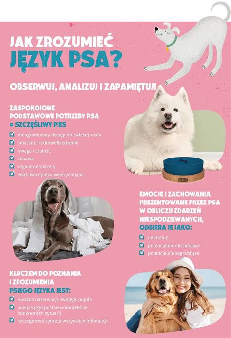 Infografika znázorňujúca správnu výživu psa